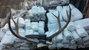 2016 elk and deer wrapped1.jpg