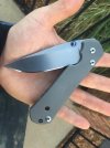 crk1.jpg
