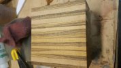 Bocote 2.jpg