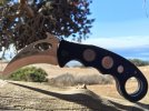 Karambit.jpg