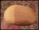 HB end grain.jpg