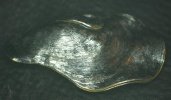 Oyster 012.jpg