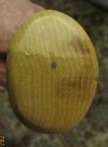 Berghaus end grain.jpg