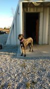 IMG_20161106_160937887.jpg