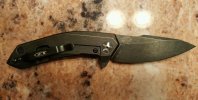 ZT0095-4.jpg