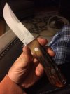 Bear 2016a.JPG
