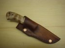 Foster sheath 001.jpg