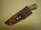 Foster sheath 002.jpg