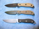 Busse GW, AD & MS 001.jpg