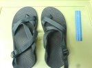 DSC00161.jpg