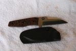 DSC_8119.JPG
