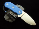cas.ck1blug10-2.JPG