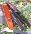sheaths 2A.jpg