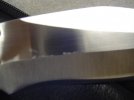 DSC01015.jpg