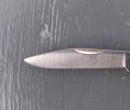 blade shape.jpg