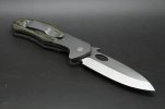 EmersonCQC10002.jpg