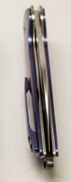 Les Voorhies Longclaw-5a.jpg
