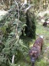 downsized_0415171540.jpg
