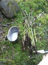 downsized_0415171610.jpg