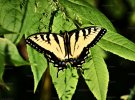 IMG_20170416_141710.jpg