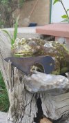 20170417_101619-1494x2656.jpg