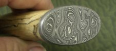 CIMG1892.jpg