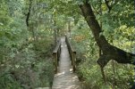 mckinneyfalls-0007.jpg