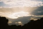McKinneyagain-0016.jpg