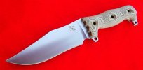 Busse ASH clip point varient.JPG
