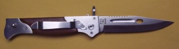 buck110a.jpg