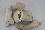 fosil bone end.jpg