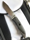 thumbnail_IMG_1504.jpg