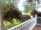 20170430_140230.jpg