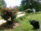 20170430_140435.jpg