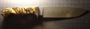 aaa013.jpg