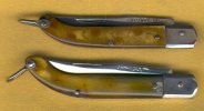 Italian spotted 1.jpg