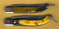 Italian spotted 3.jpg