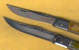 Italian spotted 4.jpg