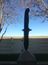 thumbnail_IMG_2592.jpg