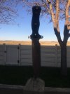 thumbnail_IMG_2597.jpg