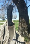 0505171255a~2.jpg