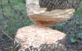 20170508_213049.jpg