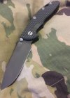 DLC Hinderer (2).jpg