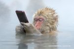 2048-6.jpg