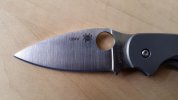 Sage2_04.jpg