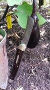 #38 pruner with eggplant.jpg
