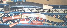 pga#1 for 5-29 -- 18 inch kobra by bura.jpg