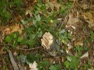 img_0057.jpg