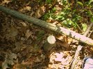 img_0058.jpg