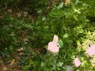 img_0059.jpg
